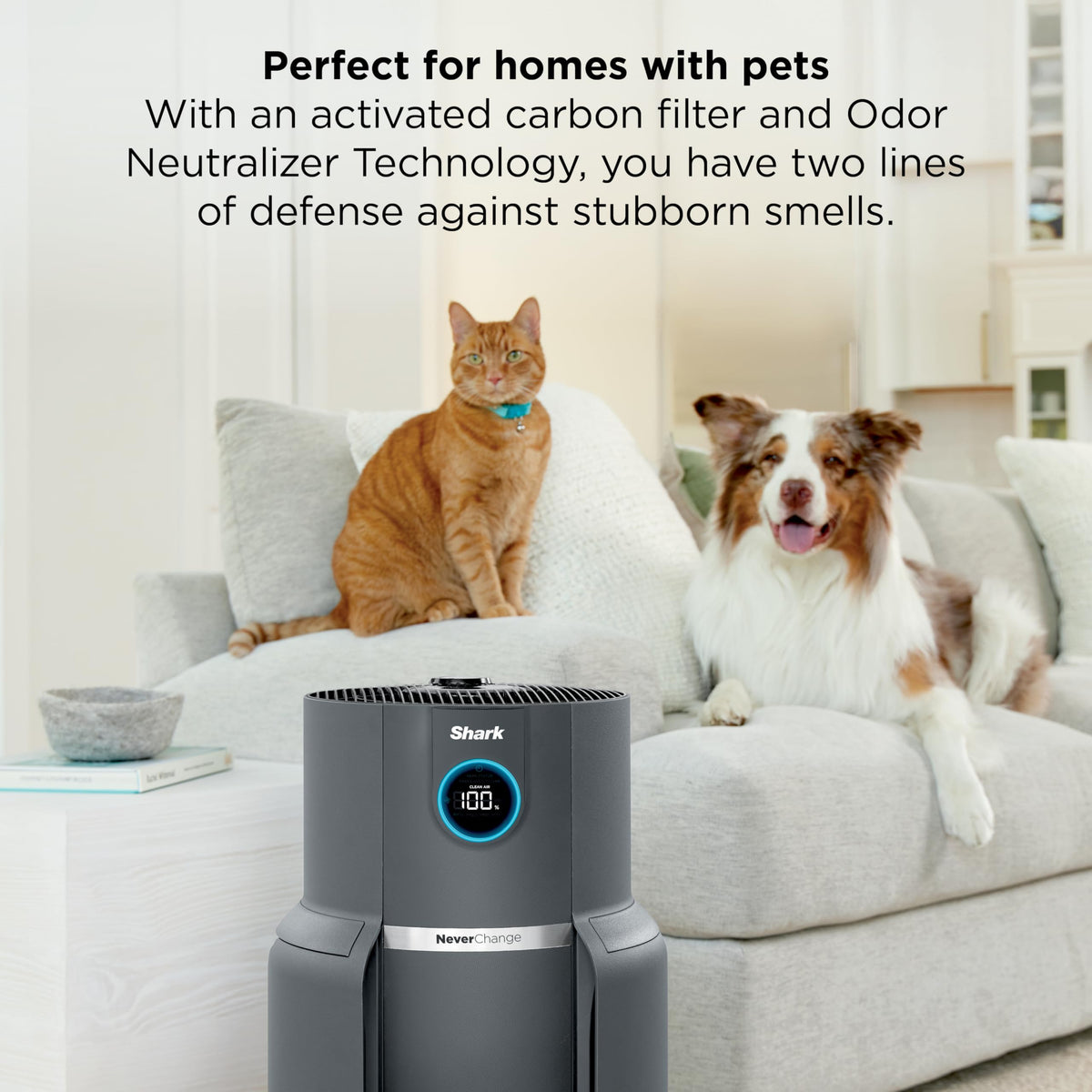 NeverChange Air Purifier Max with Odor Neutralizer, HP302, Dove